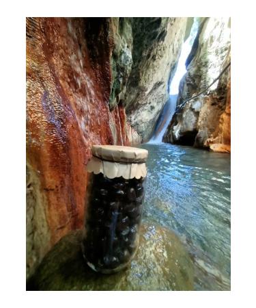 Hatayhanem Black olives