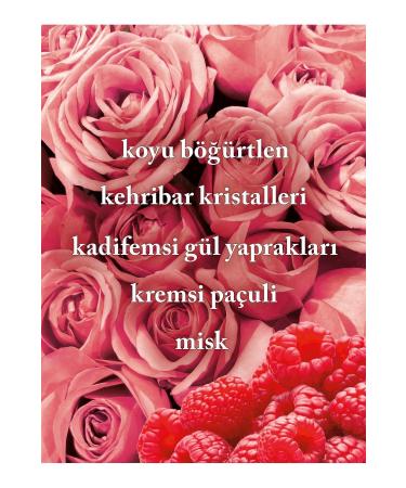 Bath & Body Works Into The Night Shea Body Cream 226 gr - Buy Online on GoSupps.com