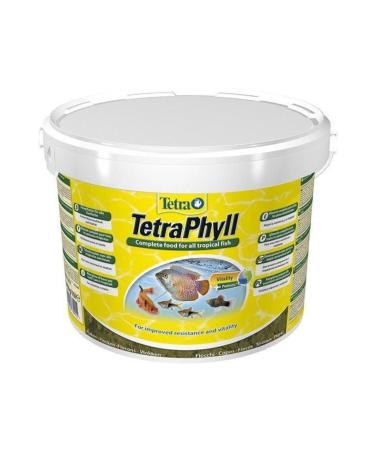 Tetra Phyll Flakes 100 Gr (Special Package)