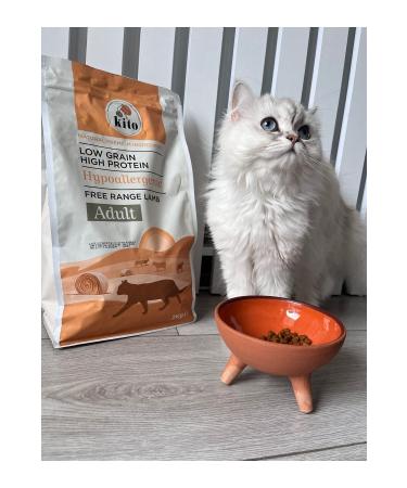 Kito 3 pieces 2 kg adult cat food - Buy Online on GoSupps.com