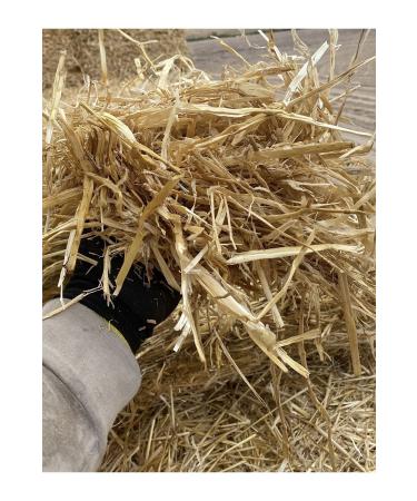 G VEN FEEDING Rodent Hay Grass Long Size (SPECIAL PRODUCT) Nest and Rodent Grass 2 Kg
