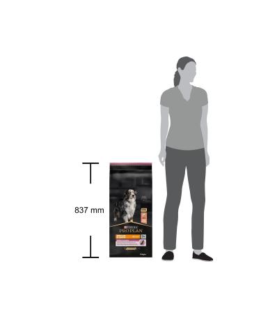 Pro Plan Senior Salmon +7 Old Dog Food 14 kg - Buy Online on GoSupps.com