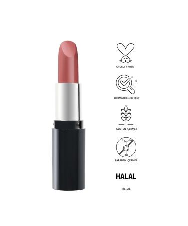 Pastel Nude Lipstick No: 534