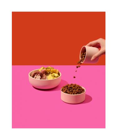 Kito 3 pieces 2 kg adult cat food - Buy Online on GoSupps.com