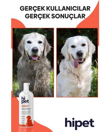 HiPet Dog Dry Shampoo - Buy Online on GoSupps.com