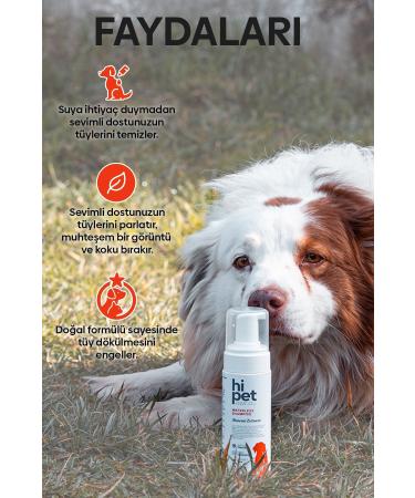 HiPet Dog Dry Shampoo - Buy Online on GoSupps.com