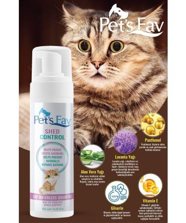Pets Fav Steam Cat and Dog Cleaning Wash Massage Comb Brush and Anti-shedding Dry Shampoo - Buy Online on GoSupps.com