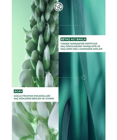 Yves Rocher Anti-Hair Loss (anti-chute) Strengthening Niacinamide&vitamin B6 Cure - Vegan-60 Ml 52095 - Buy Online on GoSupps.com