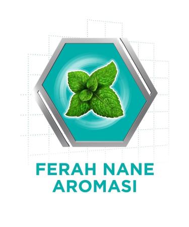 Corega Super Denture Adhesive Cream Mint 40gr x 6 Pcs - Buy Online on GoSupps.com