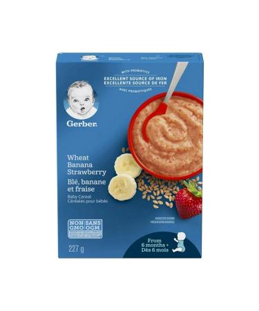 Gerber Cereals- Wheat Banana Strawberry-227 Gr- From 6 months - 2nd stage - Buy Online on GoSupps.com