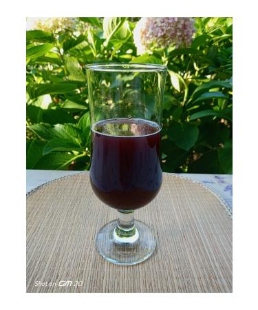 lodekor Natural Organic Natural Black Grape Juice 1 Liter Concentrate Sugar Free