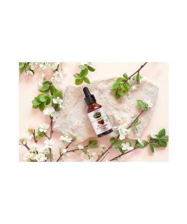 Zarifo lu Sweet Apple Oil 20 ml - Buy Online on GoSupps.com