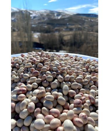 Come From The Village Ispir Beans - 1 Kg - Buy Online on GoSupps.com