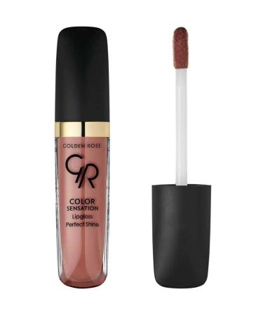 Golden Rose Color Sensation Lipgloss No: 131 Brown Nude - Colored Lip Gloss - 8691190704315