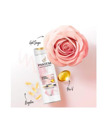 Pantene Silicone-Free Volumizing Shampoo Biotin and Rose Water 1200ml (400ML X 3) - Buy Online on GoSupps.com