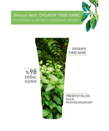 Yves Rocher Pure Menthe Charcoal Mask for Combination Oily and Acne Prone Skin - 75 ml - Buy Online on GoSupps.com