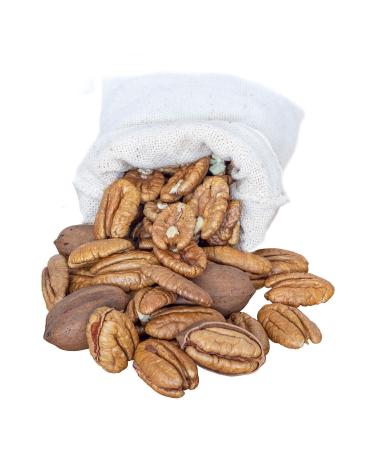 Ihlas Pecan Nuts 1 Kg Natural Raw Walnuts - Buy Online on GoSupps.com