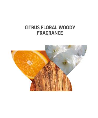 Wella Invigo Color Brillance Color Protector for All Color-Treated Hair 2-Pack Care/GEM 1S28SF-5 - Buy Online on GoSupps.com