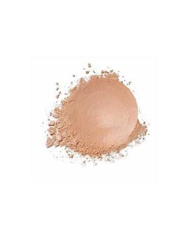 Golden Rose Nude Look Sheer Baked Powder - Nude Glow - Pearlescent Powder - 8691190967192 - Buy Online on GoSupps.com