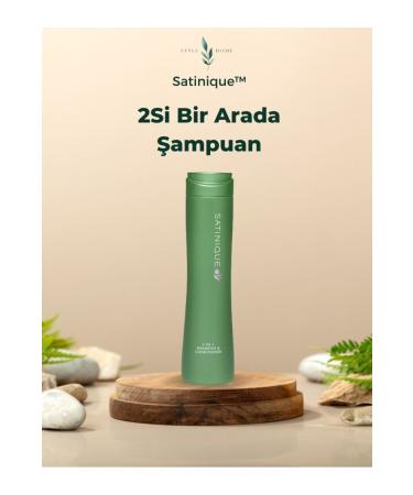 Amway 2 in 1 Shampoo and Conditioner Satinique