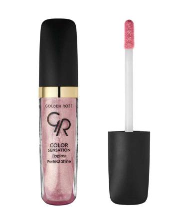 Golden Rose Color Sensation Lipgloss No: 102 Nude Pink - Colored Lip Gloss - 8691190704025