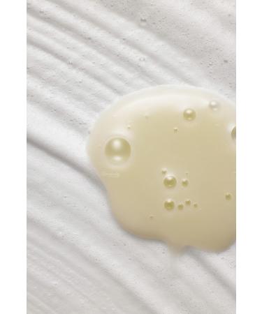 By Wishtrend Green Tea & Enzyme Milky Foaming Wash (KORENDY) Green Tea Moisturizing Gentle Cleanser 140ml - Buy Online on GoSupps.com