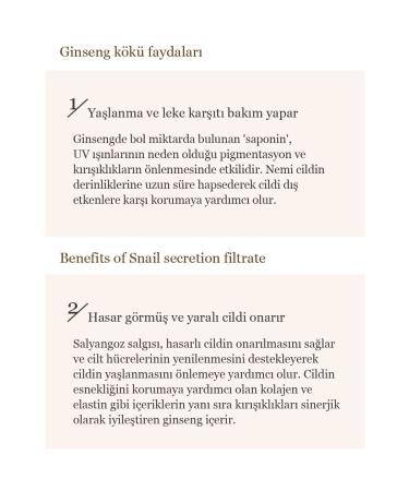 Beauty of Joseon Revive Serum Ginseng and Snail Extract Repair Serum 30ml - Buy Online on GoSupps.com