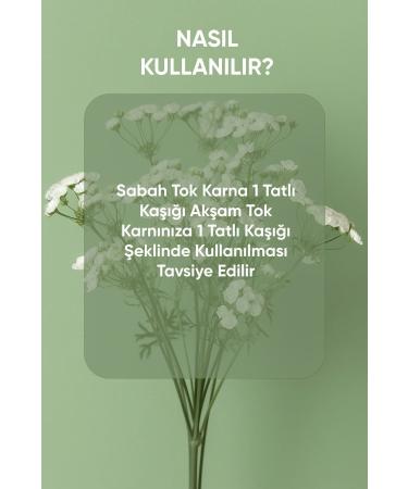 ZULLEM LION'S CLAW PASTE CONTAINING YARROW AND VISCOSE SEED 1 BOX 240 Gr - Buy Online on GoSupps.com