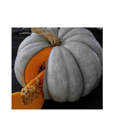 PUMPKIN Chestnut pumpkin seed - Buy Online on GoSupps.com
