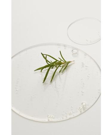 Moremo Caffeine Biome Shampoo Oily (FOR OILY HAIR) (KORENDY) Strengthening Shampoo 500ml - Buy Online on GoSupps.com