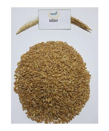 Bereketlimama Natural Clean Wheat - Chicken and Pigeon Food 10 Kg