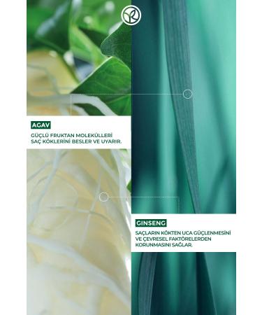 Yves Rocher Anti-Hair Loss (Anti-Chute) Strengthening Ginseng Serum - Vegan-75 ml - Buy Online on GoSupps.com