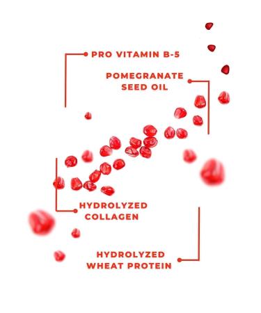 Zigavus Fast Hair Growth Pomegranate Shampoo Repair Care for Broken Hair 450ml - Buy Online on GoSupps.com