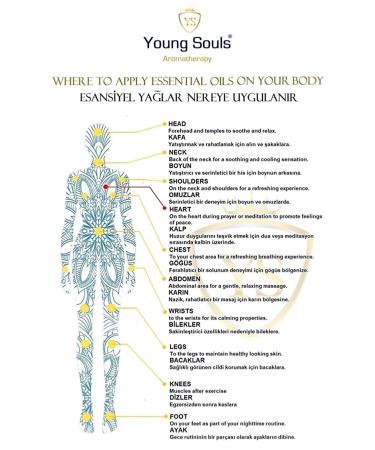 YOUNG SOULS Aromatherapy Moringa Carrier Oil ( Cold Pressed ) Carrier Oil ( Cold Pressed ) 10 ml - Buy Online on GoSupps.com