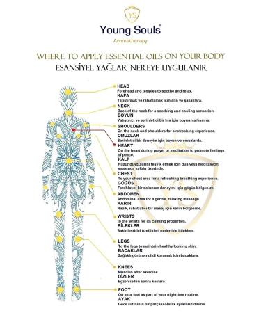 YOUNG SOULS Sweet Almond Carrier Oil ( Cold Pressed ) Sweet Almond Herbal Carrier Oil ( Cold Pressed ) 100 ml - Buy Online on GoSupps.com