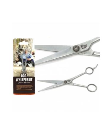 Cesar Milan Dog Whisperer Stainless Steel Hair Clipper Large