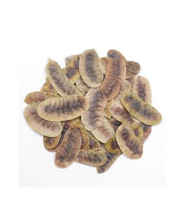 Herbal Healing Hunger Herb in Tea 250g