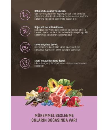 Spectrum Low Grain Lamb and Blueberry Adult Dog Food 12 Kg - Buy Online on GoSupps.com