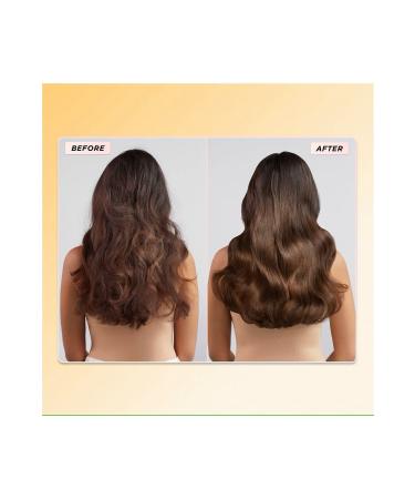 gisou Honey Infused Hair Oil&Mirsalehi Honey Content Repairing Moisturizing Shine Hair Care Oil - Buy Online on GoSupps.com