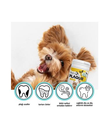 Vets Health PlaqueClean Dental Stone Tartar and Plaque Remover Oral and Dental Care Product for Cats and Dogs 50g - Buy Online on GoSupps.com