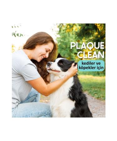 Vets Health PlaqueClean Dental Stone Tartar and Plaque Remover Oral and Dental Care Product for Cats and Dogs 50g - Buy Online on GoSupps.com