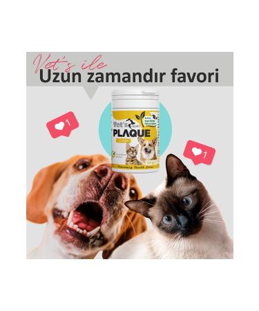 Vets Health PlaqueClean Dental Stone Tartar and Plaque Remover Oral and Dental Care Product for Cats and Dogs 50g - Buy Online on GoSupps.com