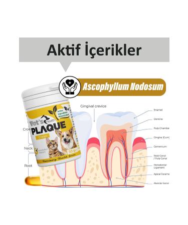 Vets Health PlaqueClean Dental Stone Tartar and Plaque Remover Oral and Dental Care Product for Cats and Dogs 50g - Buy Online on GoSupps.com