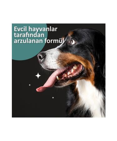 Vets Health PlaqueClean Dental Stone Tartar and Plaque Remover Oral and Dental Care Product for Cats and Dogs 50g - Buy Online on GoSupps.com