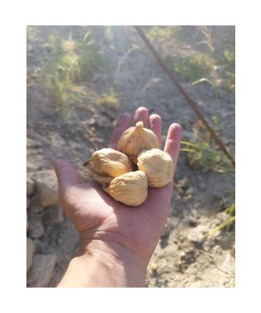 TANSU AHAL DRIED AYDIN FIG 250gr - Buy Online on GoSupps.com