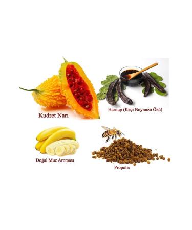 lexton Propolis & Bitter Melon Added Banana Flavored Carob Extract 640gr - Buy Online on GoSupps.com