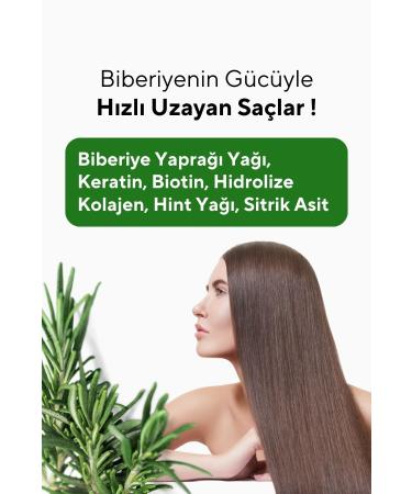 The Ceel Rosemary Shampoo Anti-Hair Loss and Helps Fast Growth Keratin Biotin and Collagen Essence 250 ml - Buy Online on GoSupps.com