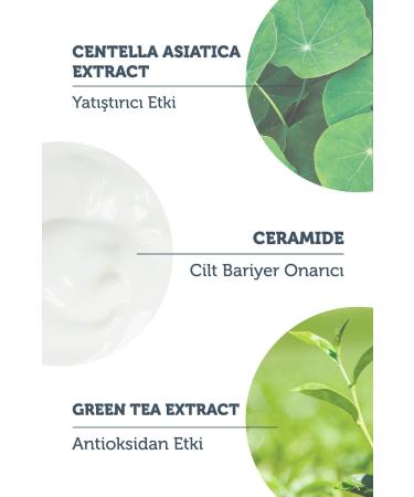 The Purest Solutions Stick SPF 50 Barrier Repair & Soothing Sunscreen - Buy Online on GoSupps.com