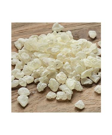 Original Mastic Gum 100 Gr Large Size - Buy Online on GoSupps.com