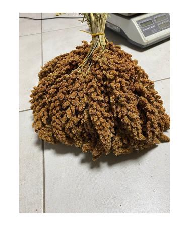 ALTIN EK N Natural Dal Millet (SPECIALLY PREPARED) 1 Kg